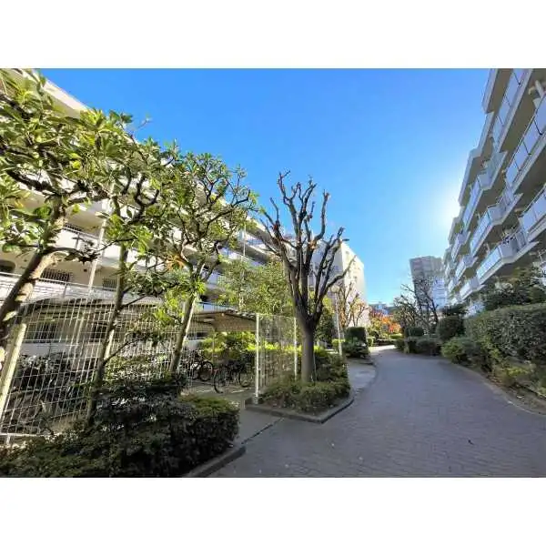 ハイホーム南大井 その他画像