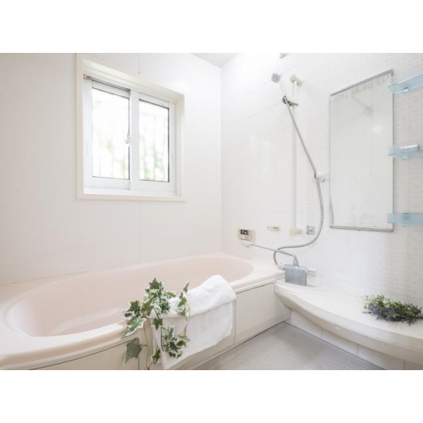 柏市松ケ崎 その他画像