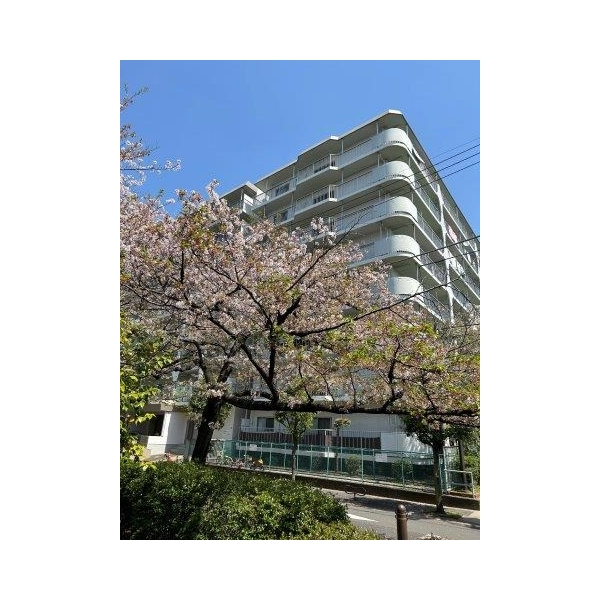 ネオコーポ亀有 その他画像