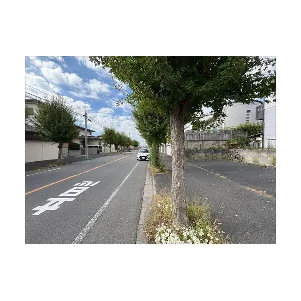 柏市亀甲台町１丁目 その他画像