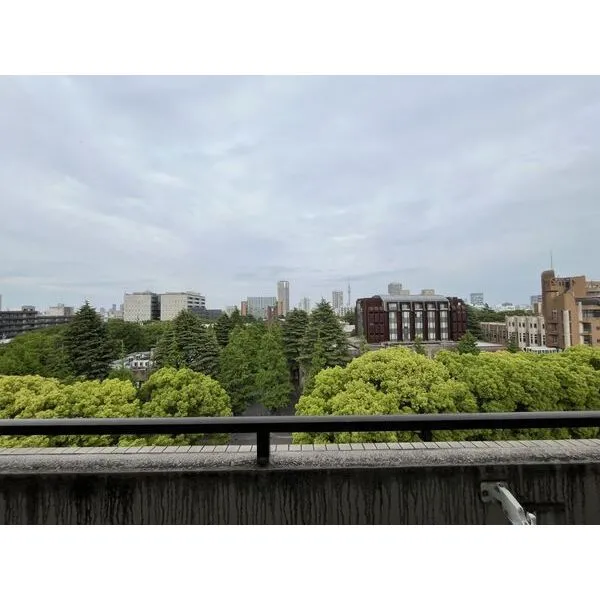 モンテベルデ第二東大前 眺望