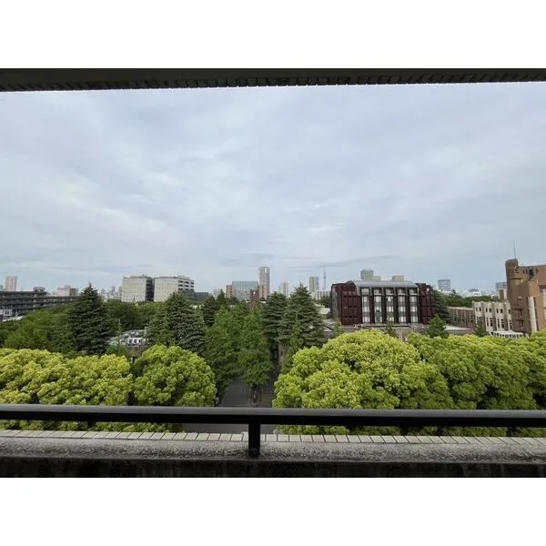 モンテベルデ第二東大前 眺望