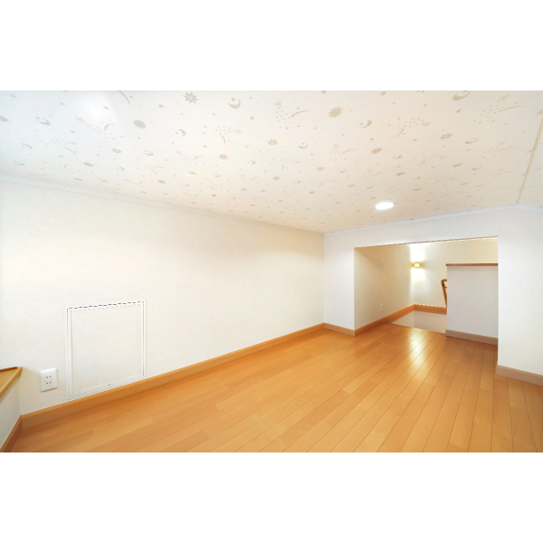 柏市酒井根４丁目 収納力のあるロフト