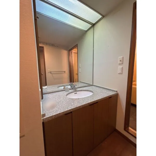 グレーシィ京都東山 洗面室