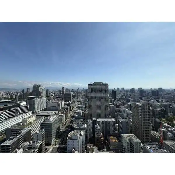 ザ・ファインタワー大手前 その他画像
