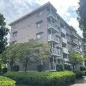 北柏ライフタウン松葉町五丁目第一団地１９号棟 外観