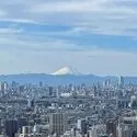 シティタワー金町 その他画像