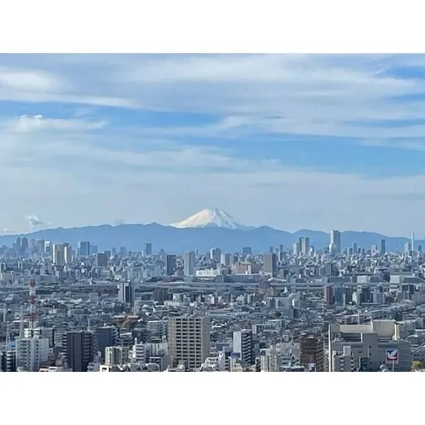シティタワー金町 その他画像