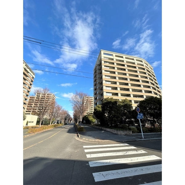 セントラルガーデン・レジデンスＡ その他画像