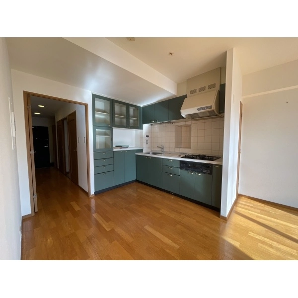 ムーンアイランドタワー キッチン