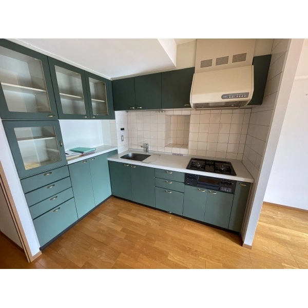 ムーンアイランドタワー キッチン