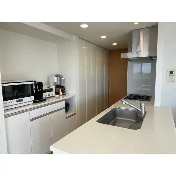 アーバンドックパークシティ豊洲タワーＡ その他画像