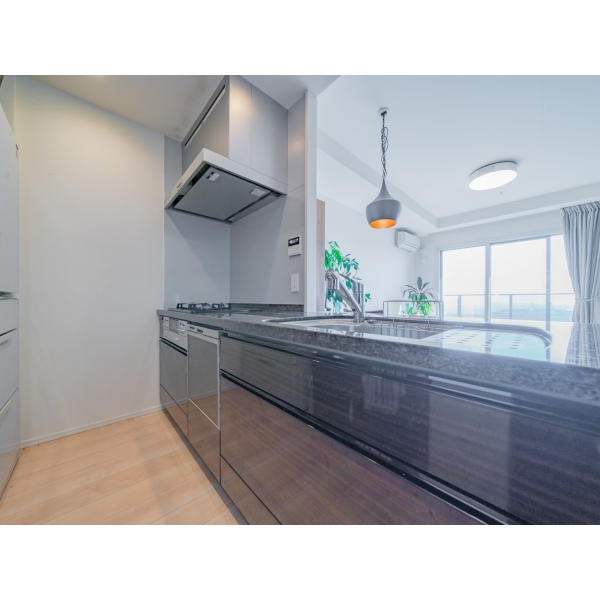 シティタワーズ東京ベイ　セントラルタワー その他画像