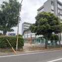 川口市上青木西４丁目 前川南公園（公園）まで約300m（徒歩4分）