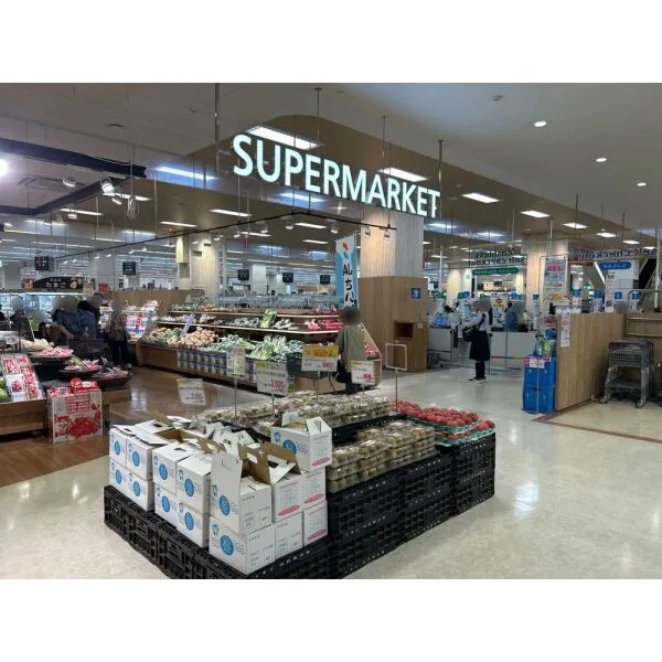 川口市上青木西４丁目 イオン川口前川店（スーパー）まで約620m（徒歩8分）