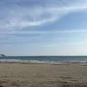 鎌倉コートハウス 鎌倉海浜公園由比ガ浜地区（公園）まで約360m（徒歩5分）