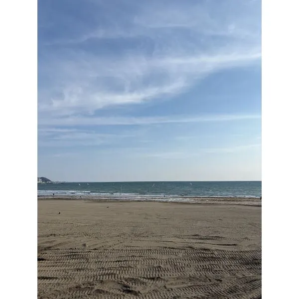 鎌倉コートハウス 鎌倉海浜公園由比ガ浜地区(公園)まで約360m(徒歩5分)