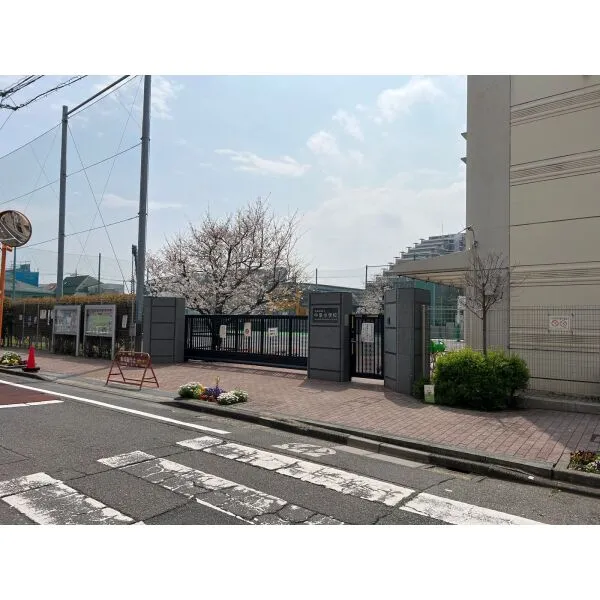 グランスイート三軒茶屋レジデンス 区立中里小学校(小学校)まで約200m(徒歩3分)