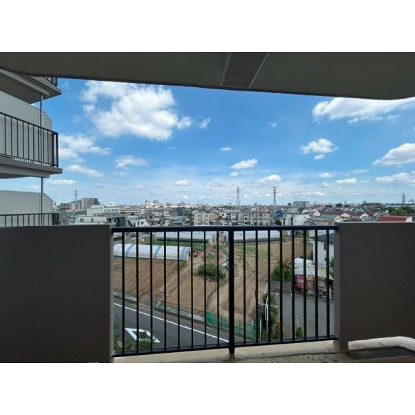 西新井大師扇スカイハイツ その他画像