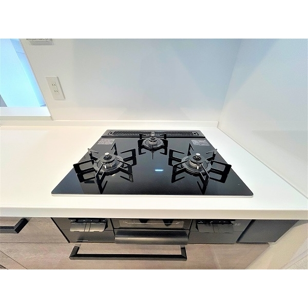 エルフォレストビューウイングＩＩ その他画像