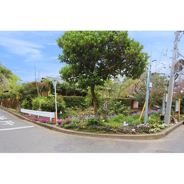 中郡大磯町東小磯 その他外観