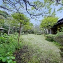 中郡大磯町東小磯 庭