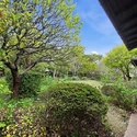 中郡大磯町東小磯 庭