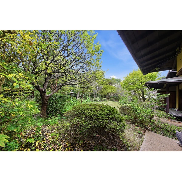 中郡大磯町東小磯 庭