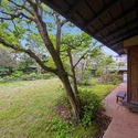 中郡大磯町東小磯 庭