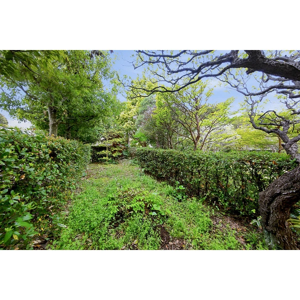 中郡大磯町東小磯 庭