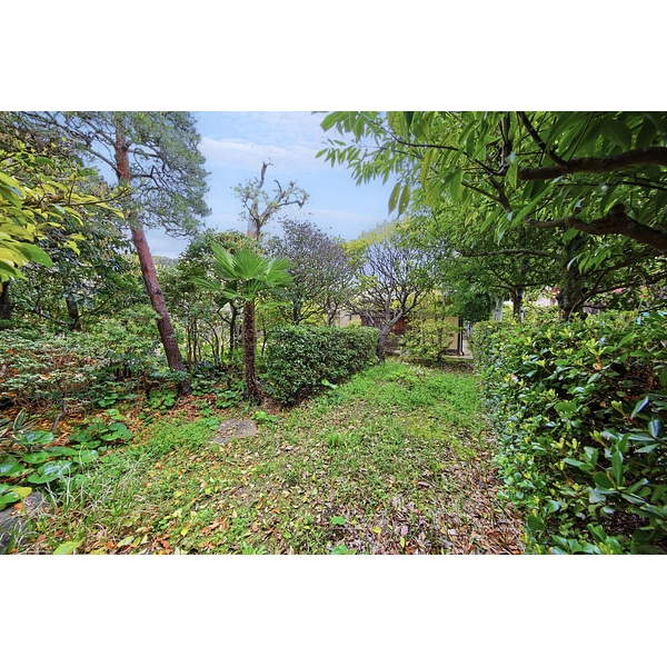 中郡大磯町東小磯 庭