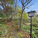 中郡大磯町東小磯 庭