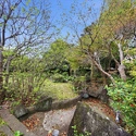 中郡大磯町東小磯 庭