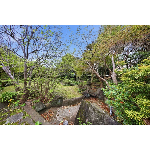 中郡大磯町東小磯 庭