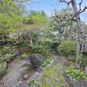 中郡大磯町東小磯 庭