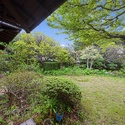 中郡大磯町東小磯 庭