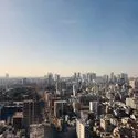 パークハウス清澄白河タワー 27階住戸から早朝の眺望（木場公園を望む、南方面の眺望）