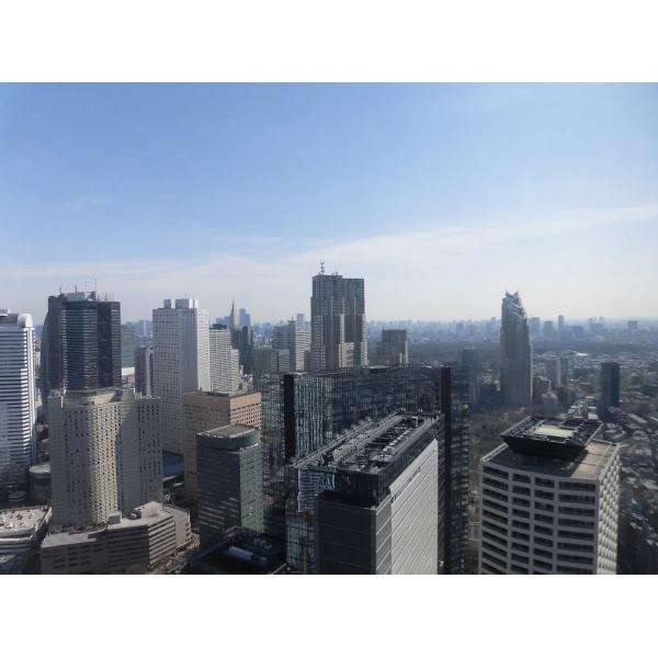 ザ・パークハウス西新宿タワー６０ 北東側バルコニーからの眺望