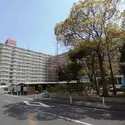 南篠崎スカイハイツA棟のエントランス