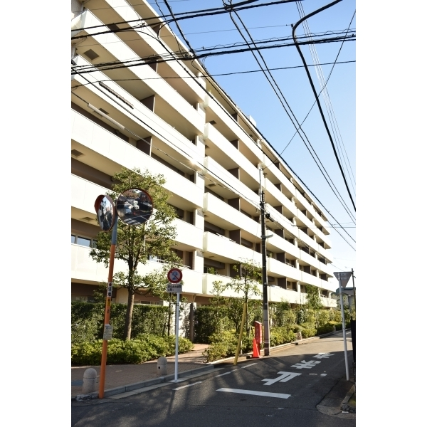 その他外観