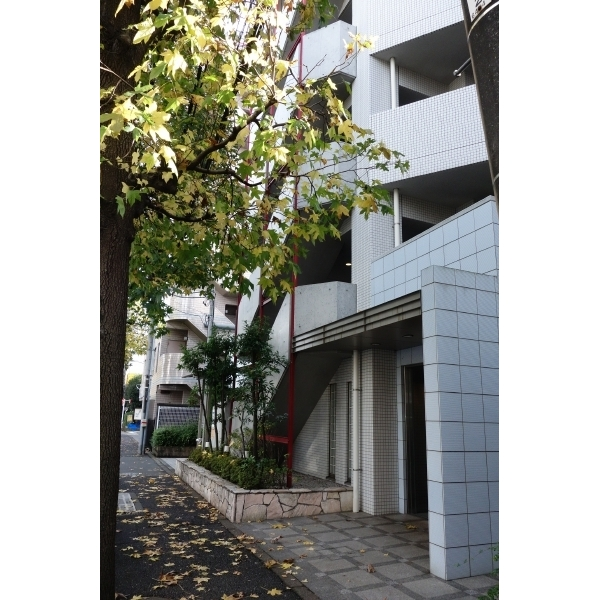 その他外観