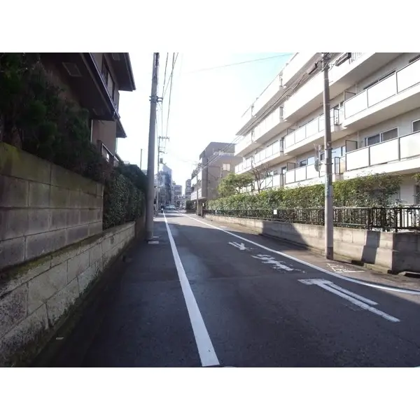 上野毛ビューハイツ西棟のその他（外観、エントランス、前面の通り等）