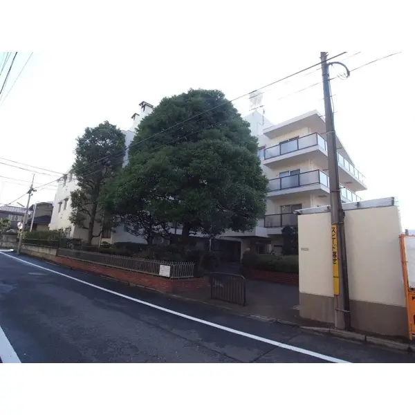 上野毛ビューハイツ西棟のその他（外観、エントランス、前面の通り等）