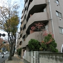 その他外観