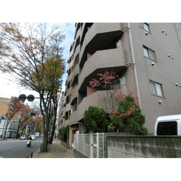 その他外観
