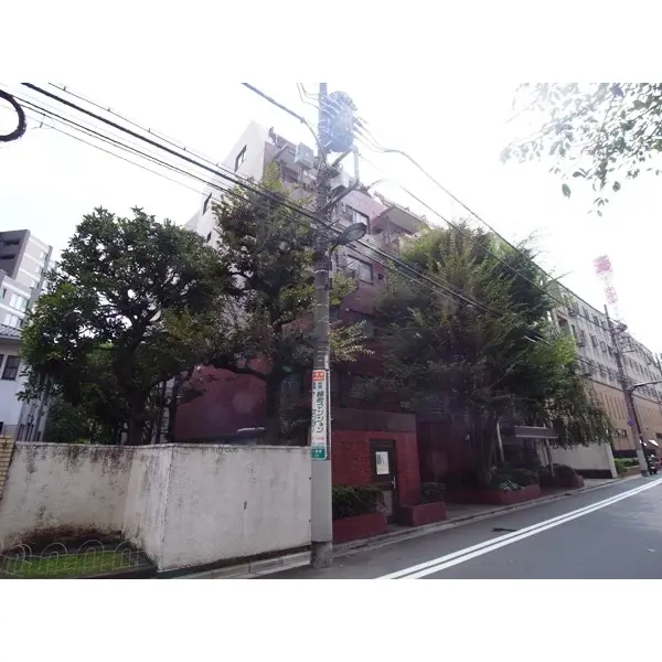 一番町ロイアルハイツのその他（外観、エントランス、前面の通り等）