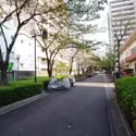サンクタス東京セントラルベイのその他（外観、エントランス、前面の通り等）