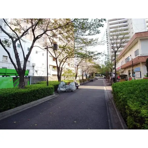 サンクタス東京セントラルベイのその他（外観、エントランス、前面の通り等）