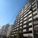 その他外観