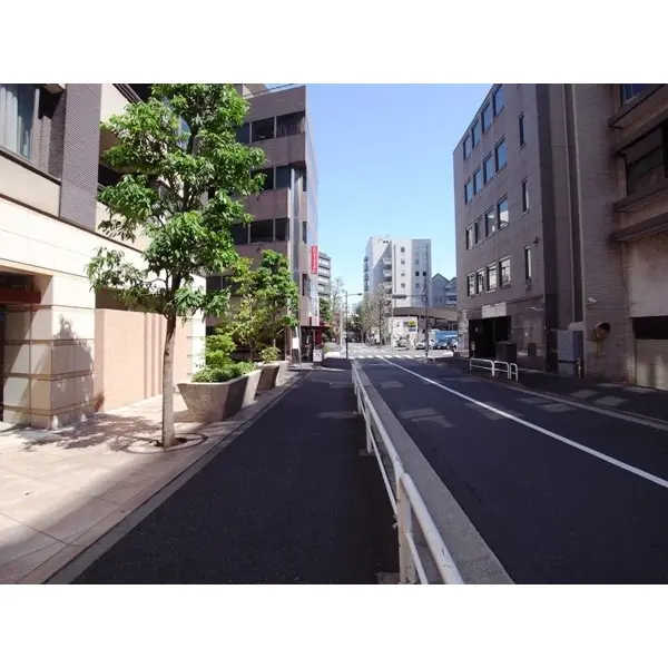 セントラルレジデンス番町シティタワーのその他（外観、エントランス、前面の通り等）